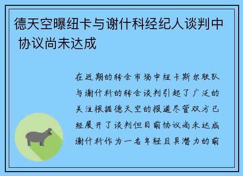 德天空曝纽卡与谢什科经纪人谈判中 协议尚未达成